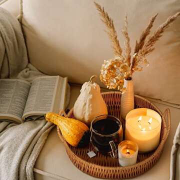 Ferraycle 3 Pcs Rattan Serving Tray with Handles Woven Wicker Tray Round Shallow Rattan Basket Fruit...