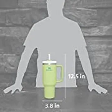 Stanley Quencher H2.0 Insulated Tumbler for All Drinks