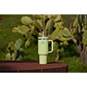 Stanley Quencher H2.0 Insulated Tumbler for All Drinks