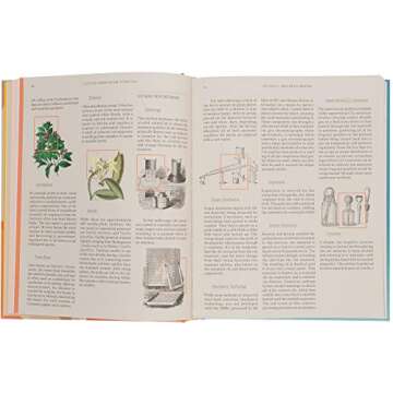 The Essence Aromatherapy Diffuser with Color Change