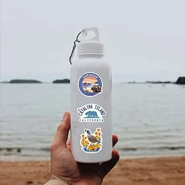 50 PCS California Stickers for Kids - Aesthetic and Waterproof