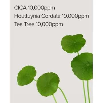 Mary&May CICA Houttuynia Tea Tree Calming Mask