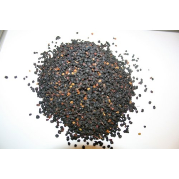 Organic Dried Elderberry Fruit - Certified Organic 2 Oz - Bio Herbs