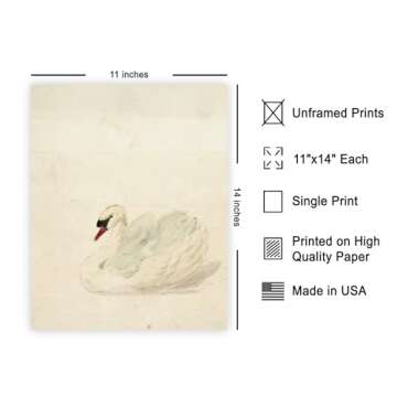 Poster Master Vintage Swan Poster - Retro White Swan Painting Print - French Country Art - Bird Art ...