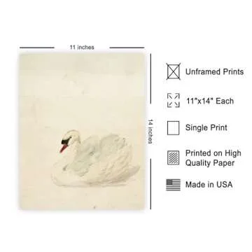 Poster Master Vintage Swan Poster - Retro White Swan Painting Print - French Country Art - Bird Art ...