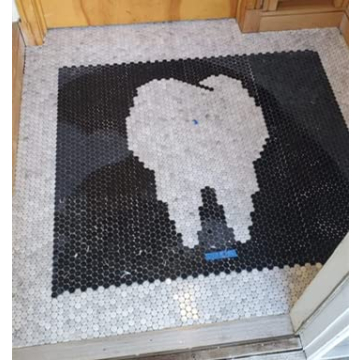 Carrara White Marble Penny Round Mosaic Tile for Elegant Designs