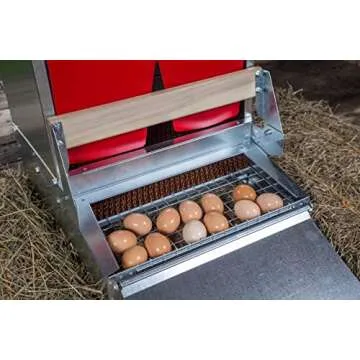 Best Nest Box for Stress-Free Chicken Egg Collection