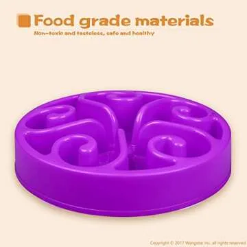 Pet Slow Feeder Dog Bowls Ideal for Healthier Eating Habits