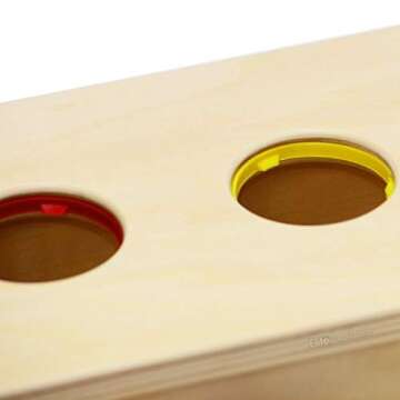 Elite Montessori Baby Object Permanence Ball Push Toddlers and Preschoolers Toy, 1 Year Old Up Baby Learning Material