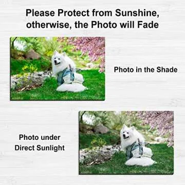 Stone City Printable Magnetic Sheets Make Refrigerator Photo Magnet Glossy Print Paper 12mil Thickness for Inkjet Printers 8.5x 11 Inches 5 Sheets