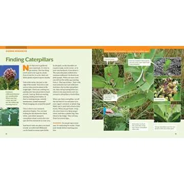 Step-by-Step Guide to Raising Monarch Butterflies