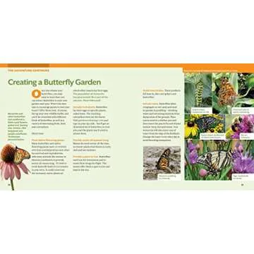 Step-by-Step Guide to Raising Monarch Butterflies