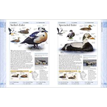 AMNH Birds of North America Engaging Bird Guides