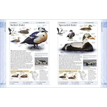 AMNH Birds of North America Engaging Bird Guides