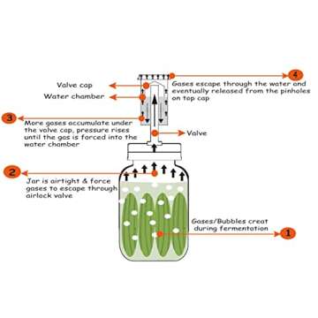 Jillmo Fermentation Kit, Stainless Steel Fermenting Kit for Wide Mouth Mason Jars (NO Jars)