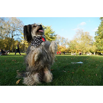 Sony 18-135mm F3.5-5.6 OSS Zoom Lens for Photography