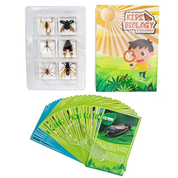 Fruzelg ELifeBox 6 PCS Insect Specimen Set for Kids