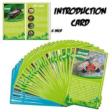 Fruzelg ELifeBox 6 PCS Insect Specimen Set for Kids