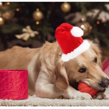 ANIAC Adjustable 3D Christmas Dog Santa Hat for Medium to Large Dogs Pet Dog Santa Costume…