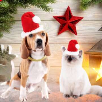 ANIAC Adjustable 3D Christmas Dog Santa Hat for Medium to Large Dogs Pet Dog Santa Costume…