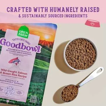 Protein Rich Dry Cat Food for Healthy Living