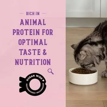 Protein Rich Dry Cat Food for Healthy Living