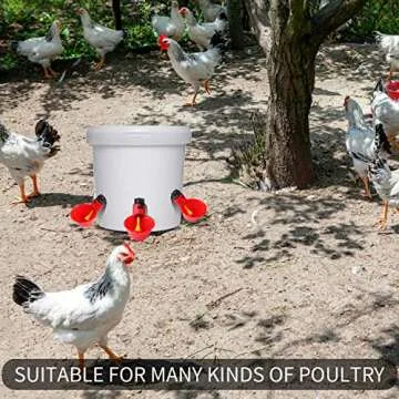 Sansheng Automatic Chicken Waterer Cups - Pack of 24