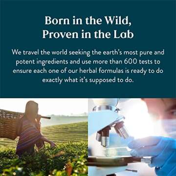 Nature's Sunshine Magnesium - 250mg for Energy & Nervous System Support, 180 Tablets