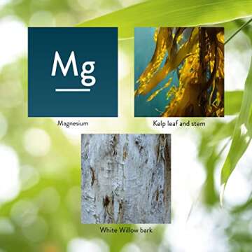 Nature's Sunshine Magnesium Tablets for Energy & Nerve Support