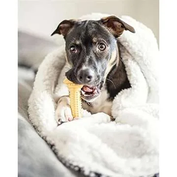 Durable Nylabone Power Chew Bone Toy for Large Dogs