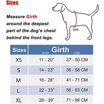 PoyPet No Pull Dog Harness, Reflective Comfortable Vest Harness with Front & Back 2 Leash Attachments and Easy Control Handle Adjustable Soft Padded Pet Vest for Small Medium Large Dogs (Mint Blue,M)