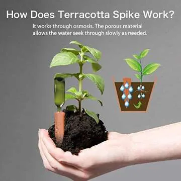 Automatic Plant Watering Stakes - Eco-Friendly Terracotta Spikes