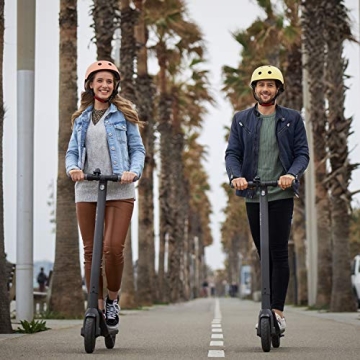 Segway Ninebot E22 E45 Electric Scooter - Lightweight & Foldable