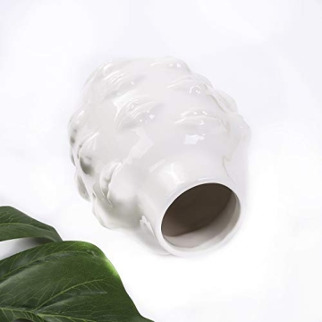 Cuta Ceramic Flower Pot for Home Decor and Office