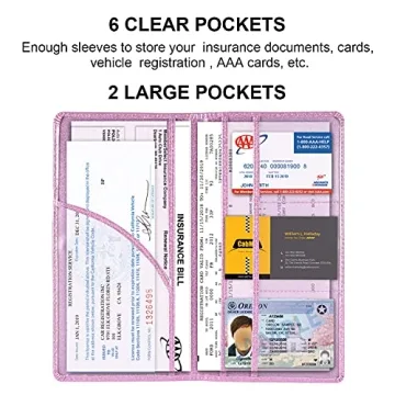 Stylish Cacturism Car Registration and Insurance Holder