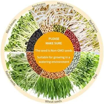 Bean Sprouts Machine with LED Display and Automatic Watering