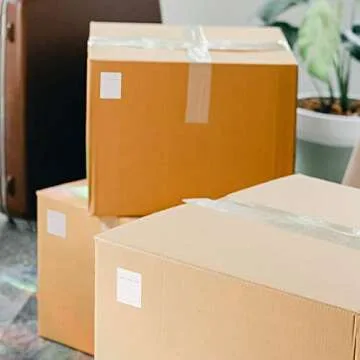 120 Count Stick-On Printable Memory Card Labels for Organization