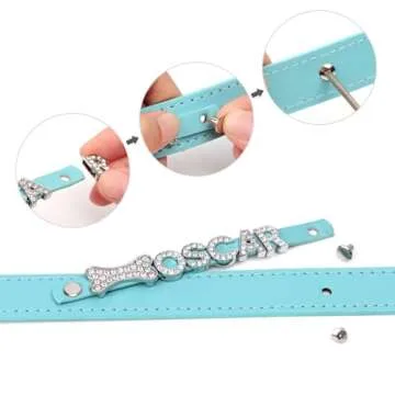 Didog Custom Rhinestone Dog Collar for Small Dogs