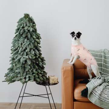 Kuoser Recovery Suit for Dogs Cats After Surgery, Professional Pet Recovery Shirt Dog Abdominal Wounds Bandages, Substitute E-Collar & Cone,Prevent Licking Dog Onesies Pet Surgery Recovery Suit