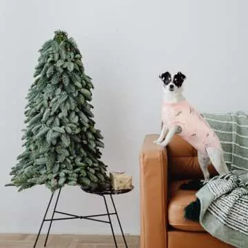 Kuoser Recovery Suit for Dogs Cats After Surgery, Professional Pet Recovery Shirt Dog Abdominal Wounds Bandages, Substitute E-Collar & Cone,Prevent Licking Dog Onesies Pet Surgery Recovery Suit