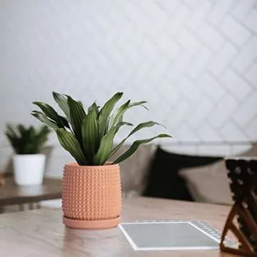 D'vine Dev 6 Inch 4 Inch Terracotta Indoor Planter Pots with Drainage Hole and Saucer, Beaded Design Flower Pots, Set of 2, Terracotta Color, 27-D-U-7