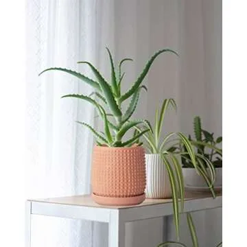 D'vine Dev 6 Inch 4 Inch Terracotta Indoor Planter Pots with Drainage Hole and Saucer, Beaded Design Flower Pots, Set of 2, Terracotta Color, 27-D-U-7