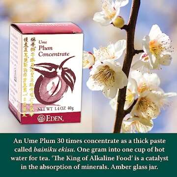 Eden Ume Plum Concentrate, Bainiku Ekisu, 1.4 oz