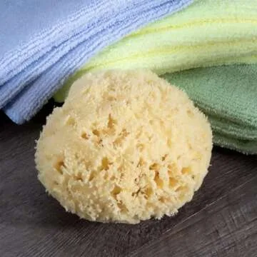Neptune Natural Sea Wool Sponge - Eco-Friendly Bathing Essential