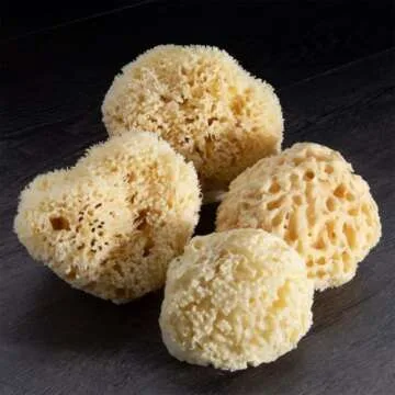 Neptune Natural Sea Wool Sponge - Eco-Friendly Bath Essential