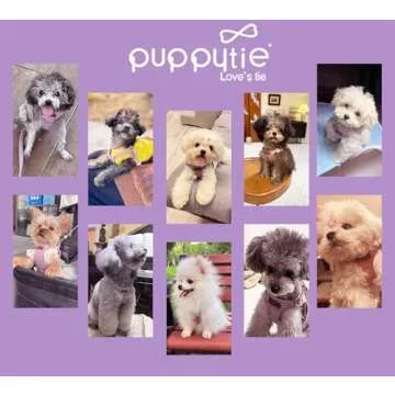 Puppytie No Pull xs Dog Harness with Multifunction Dog Leash,Soft Adjustable No Choke Escape Proof Pet Harness Vest,Light Purple,XS