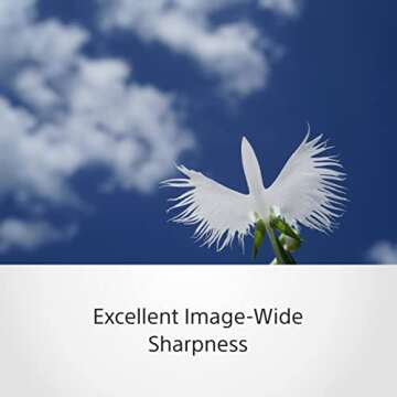 Sony SEL50M28 FE 50mm F2.8 Full Frame E-mount Lens (Black)