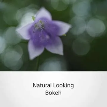 Sony SEL50M28 FE 50mm F2.8 Full Frame E-mount Lens (Black)