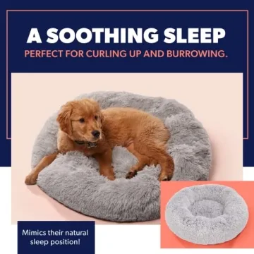 Premium Dog Beds for All Sizes - Calming, Comfortable, Portable