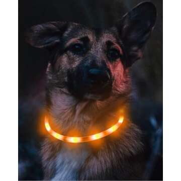 Joytale Light Up Dog Collar, Rechargeable Rainproof LED Collar for Night Walking Safety, Soft Silicone Glow in The Dark, Suitable for Small Medium Large Dogs, Orange